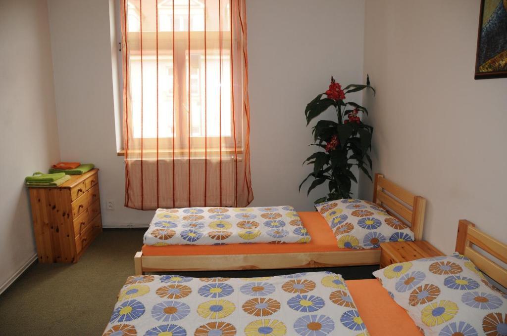Penzion Pupendo Hradec Králové Dış mekan fotoğraf